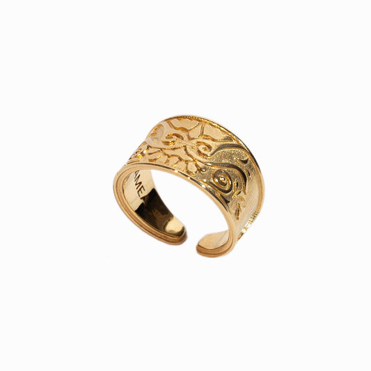 Anello Frammenti